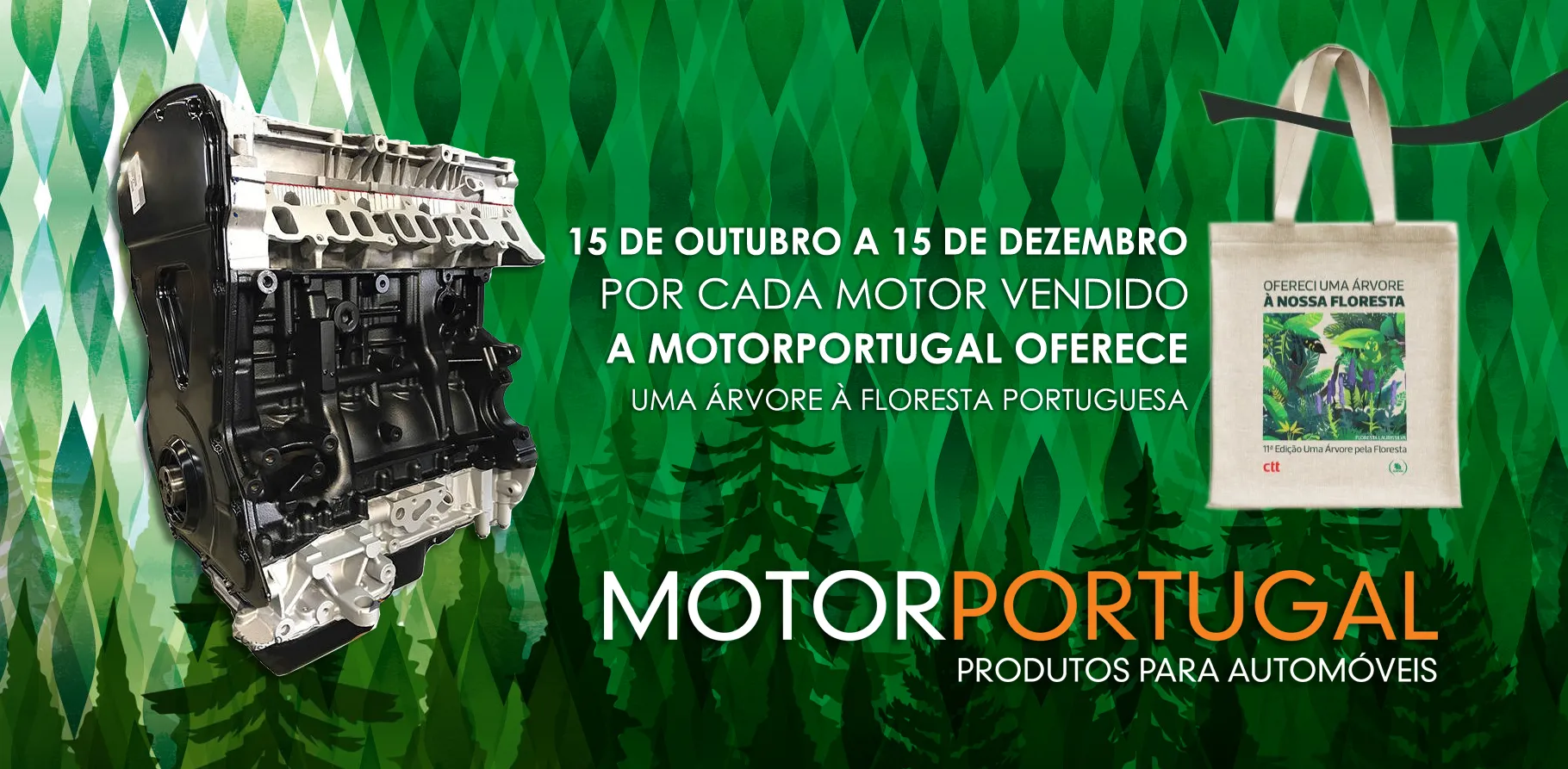 MotorPortugal apoia a reflorestação de Portugal